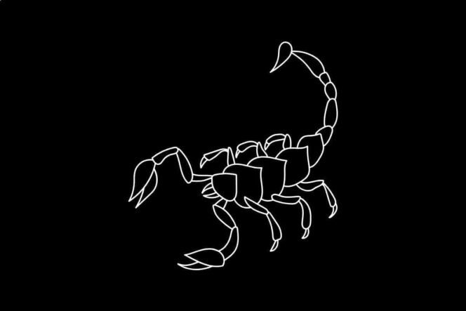 Roczny horoskop finansowy Skorpion 2026